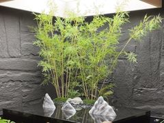-宫七SPA·高端Massage(浦东大道店)