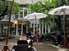 -Fern Forest Cafe