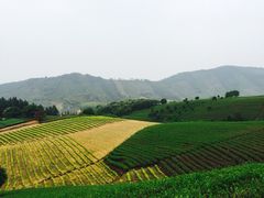 安吉帐篷客度假酒店-帐篷客·溪龙茶谷度假酒店