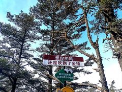 -峨眉山风景名胜区