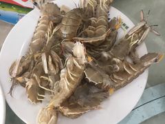 -春华海鲜城(广场西苑店)