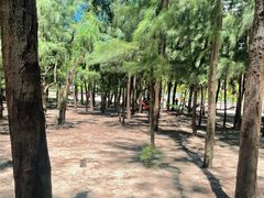 -螺洲公园