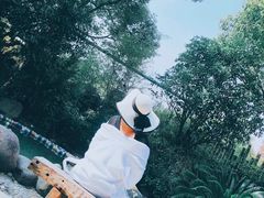 -张家港金凤凰度假村温泉