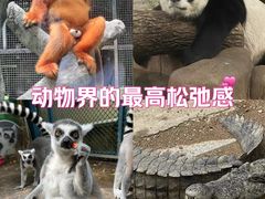 -南宁市动物园