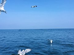 -养马岛旅游度假区