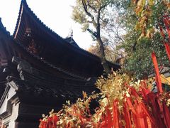 -灵岩山风景区