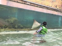 -新加坡水上探险乐园