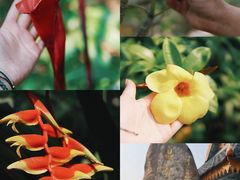 -中国科学院西双版纳热带植物园