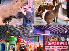 -顺德南宏海立方海洋公园