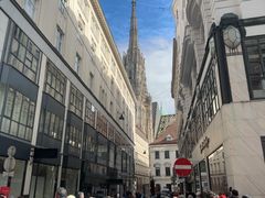 -斯蒂芬主教座堂(Stephansdom)