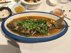 -阿五黄河大鲤鱼(海尚店)