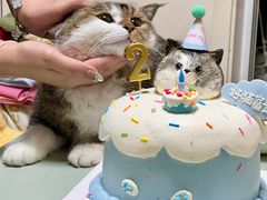 -橙呦·私人定制生日蛋糕