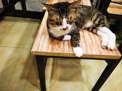 -玉椰林甜品店(创始店)