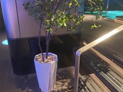 -漫·汤泉