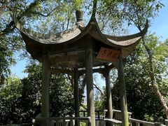 -江心屿景区