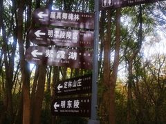 -紫霞湖公园