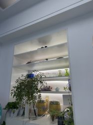 -斐尔国际皮肤管理中心