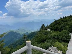 -牛背梁国家森林公园