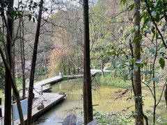 -深圳仙湖植物园