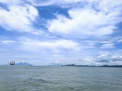 -广东惠东海龟国家级自然保护区