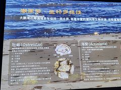 -欢乐海岸海洋奇梦馆