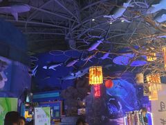 -烟台海昌鲸鲨海洋公园