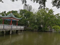 -柳侯公园