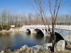 -马家湾湿地公园