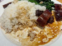 -美食小镇·观赏珍稀鸟类·长隆熊猫酒店