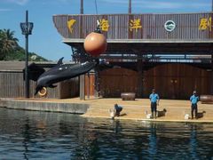 -海南分界洲岛旅游区