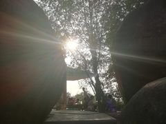 -火炉山森林公园