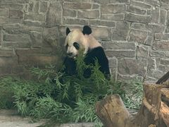 -黔灵山公园