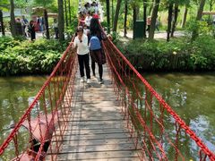 -合肥滨湖国家森林公园