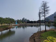 -南沙蒲洲花园
