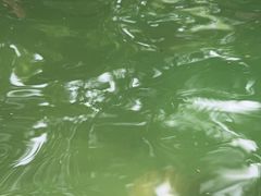 -湖泉半山温泉(湖泉生态园)