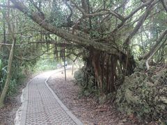 -鹅銮鼻公园