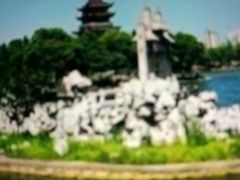 -桐乡植物园