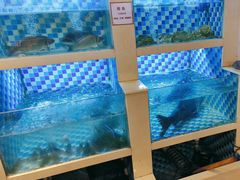 -野渡坡·极致湘菜·庭院餐厅(汉阳店)