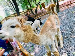 -北京野生动物园