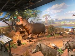 -陕西自然博物馆