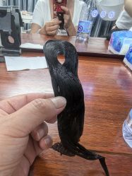 -胭脂猫京剧摄影