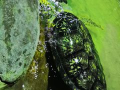 -南昌海洋公园
