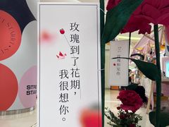 -龙湖西安曲江天街