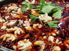 -重庆乌鱼庄·龙滋鲜(青羊大道店)