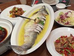-鲁宴·鲁煨黄河生态大鲤鱼(月坛店)