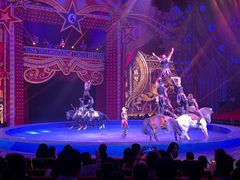 -珠海横琴长隆《卡卡虎奇遇记》