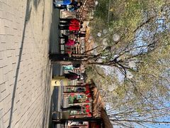 -北京鹿世界主题园