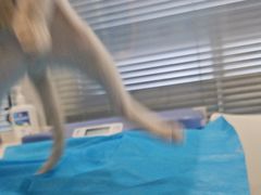 -美迦爱-牙专科·兔科·骨科诊疗中心(北苑店)