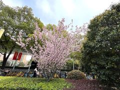 -莲花国际广场