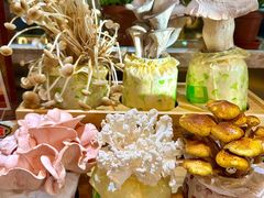 -烹然四季椰子鸡火锅(团结湖总店)